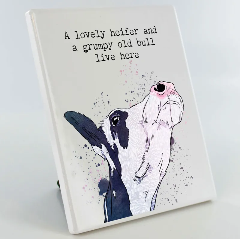 Vivid Squid Photo Panel - Grumpy Old Bull-3