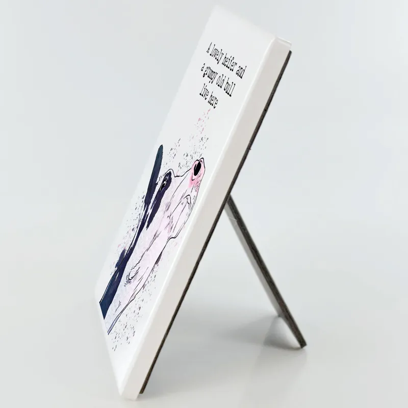 Vivid Squid Photo Panel - Grumpy Old Bull-2