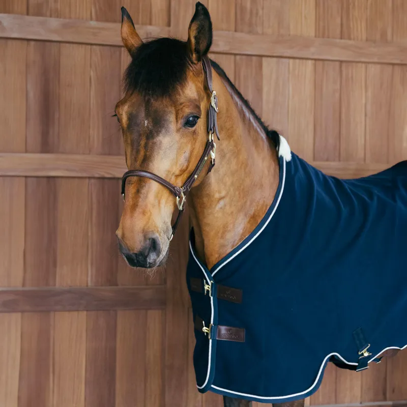 Kentucky Vegan Wool Fleece Cooler Rug - Navy-8