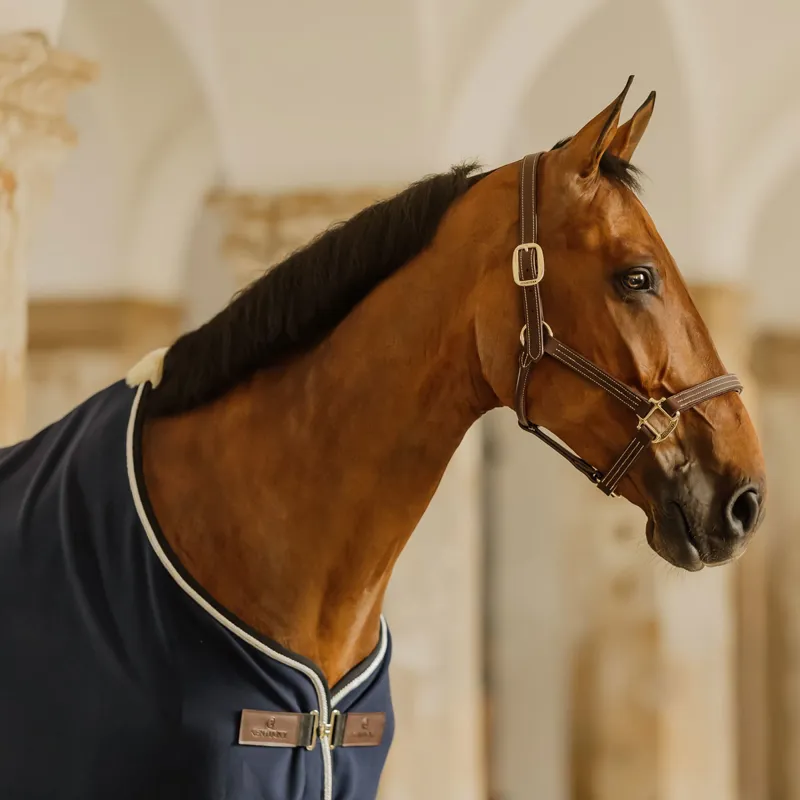 Kentucky Vegan Wool Show Fleece Rug - Navy-2