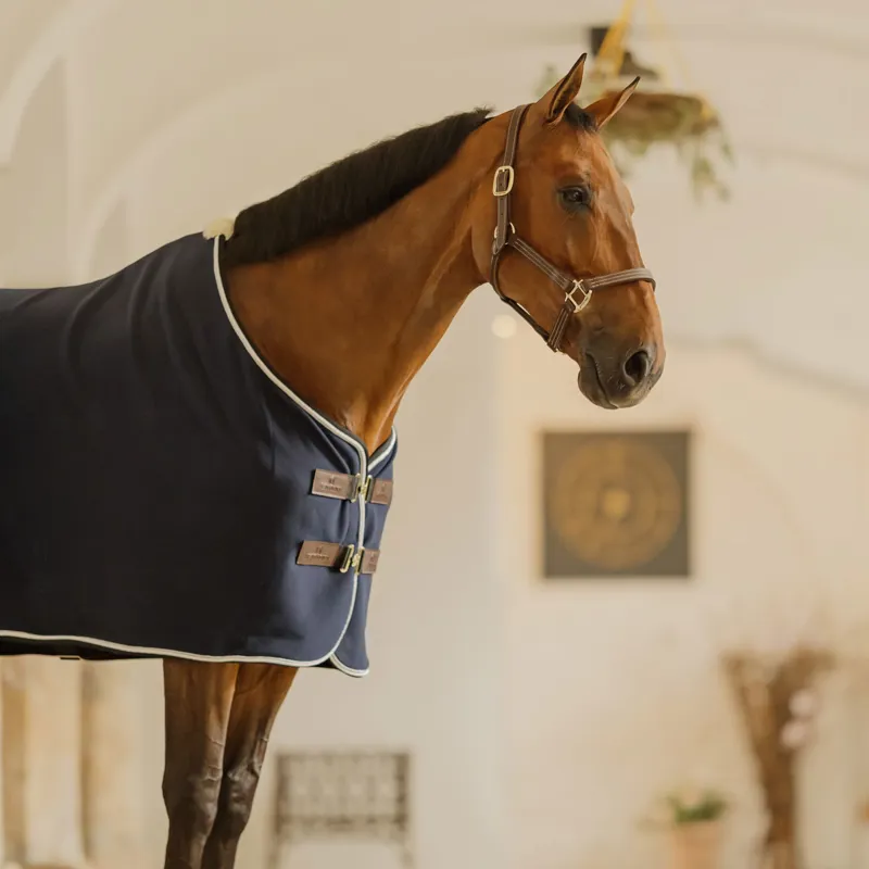 Kentucky Vegan Wool Show Fleece Rug - Navy-3