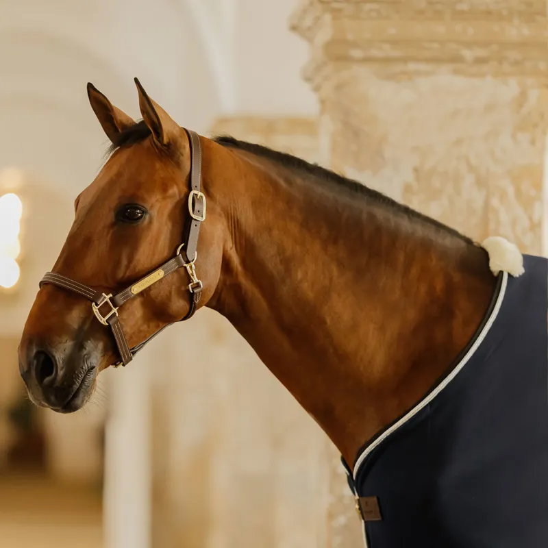 Kentucky Vegan Wool Show Fleece Rug - Navy-4