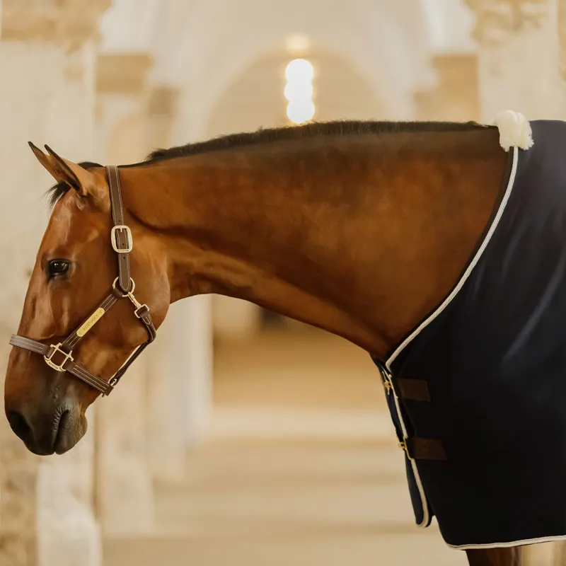 Kentucky Vegan Wool Show Fleece Rug - Navy-5