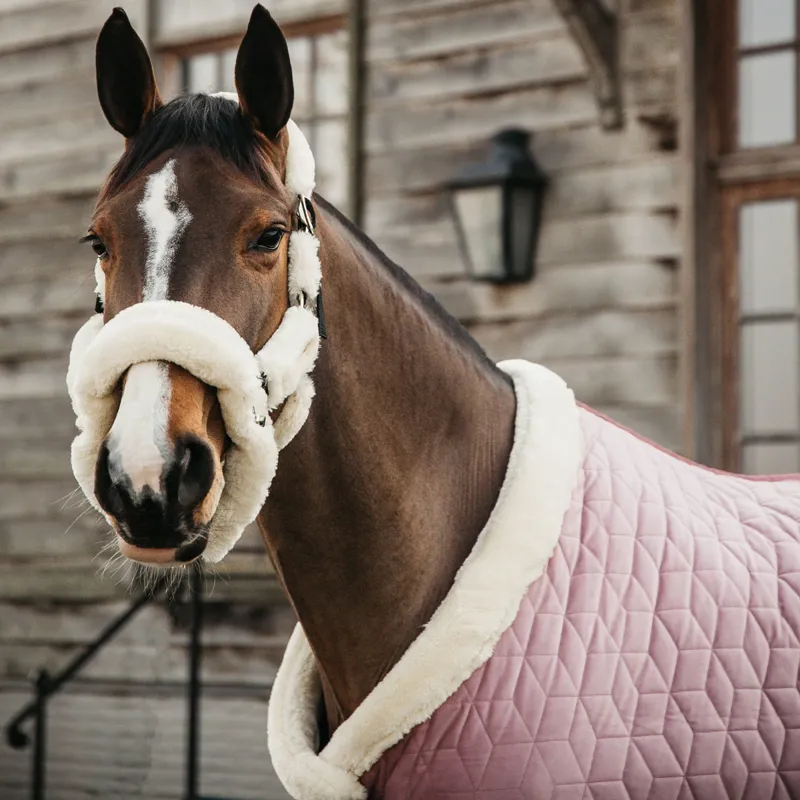 Kentucky Velvet Show Rug - Old Rose-8
