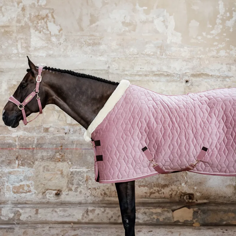 Kentucky Velvet Show Rug - Old Rose-9