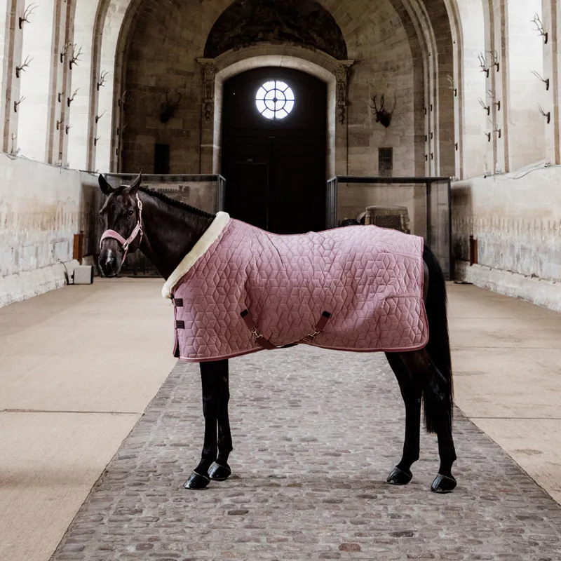 Kentucky Velvet Show Rug - Old Rose-10