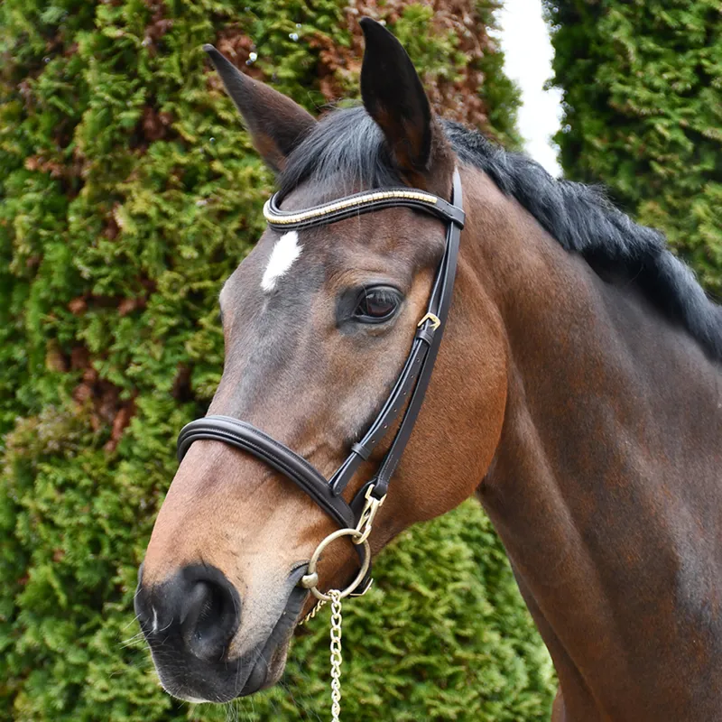 Rhinegold Veneto Leather Show Bridle with Clincher Browband - Havana