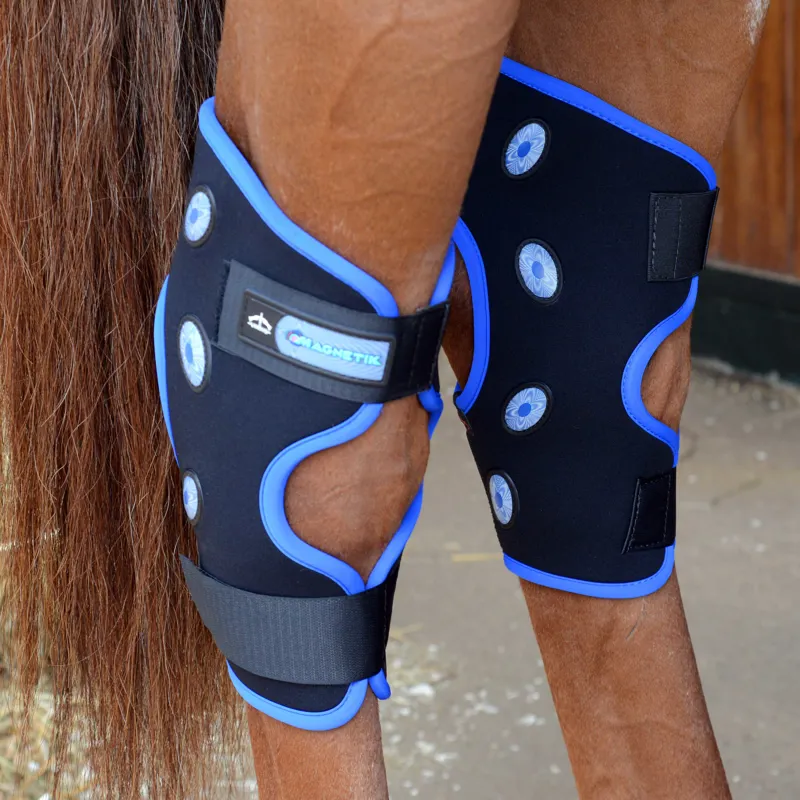 Veredus Magnetik Hock Boot Magnetic Therapy - Black/Blue