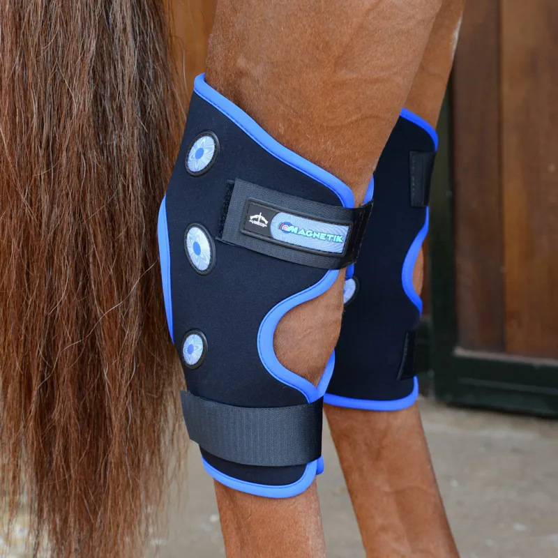 Veredus Magnetik Hock Boot Magnetic Therapy - Black/Blue-5