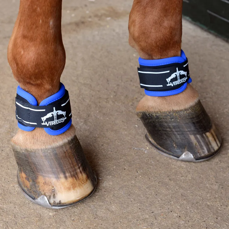 Veredus Magnetik Pro Pastern Wraps - Black/Blue