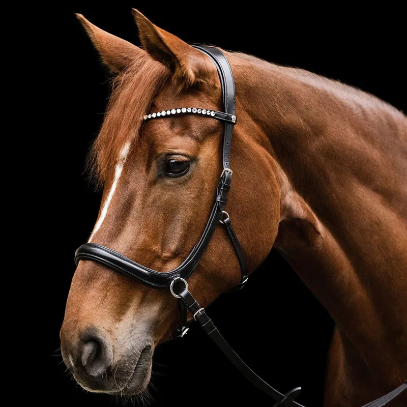 Waldhausen X-Line Sensation Bitless Bridle with Reins - Black-1