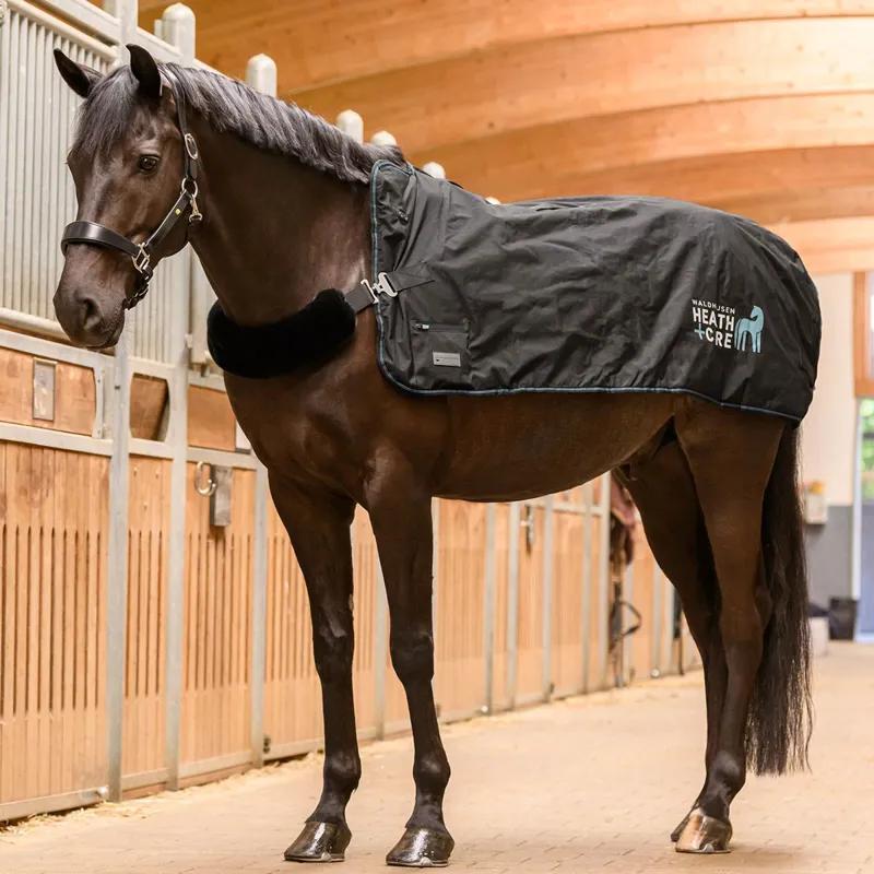 Waldhausen Health + Care TecSupreme Heat/Massage Rug - Black-7