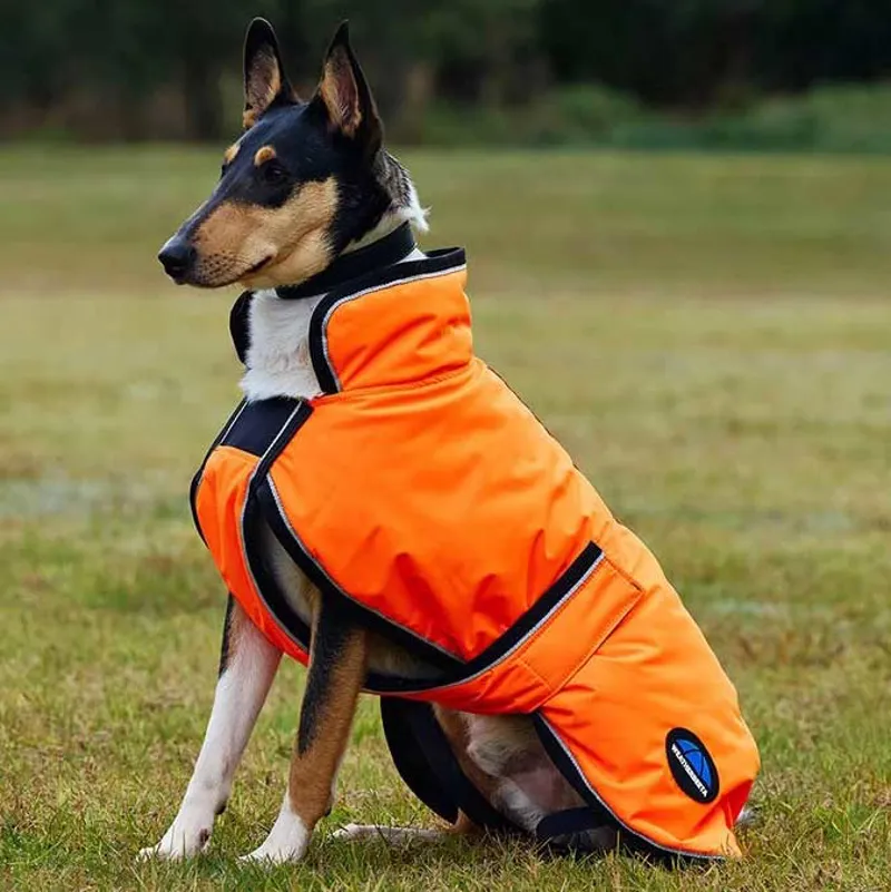 WeatherBeeta ComFiTec Reflective 300D Deluxe Dog Coat - Orange-4