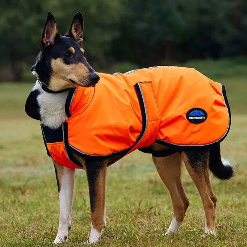 WeatherBeeta ComFiTec Reflective 300D Deluxe Dog Coat - Orange-3