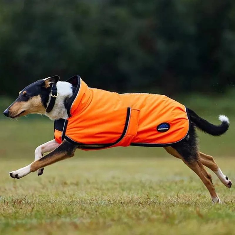 WeatherBeeta ComFiTec Reflective 300D Deluxe Dog Coat - Orange-2