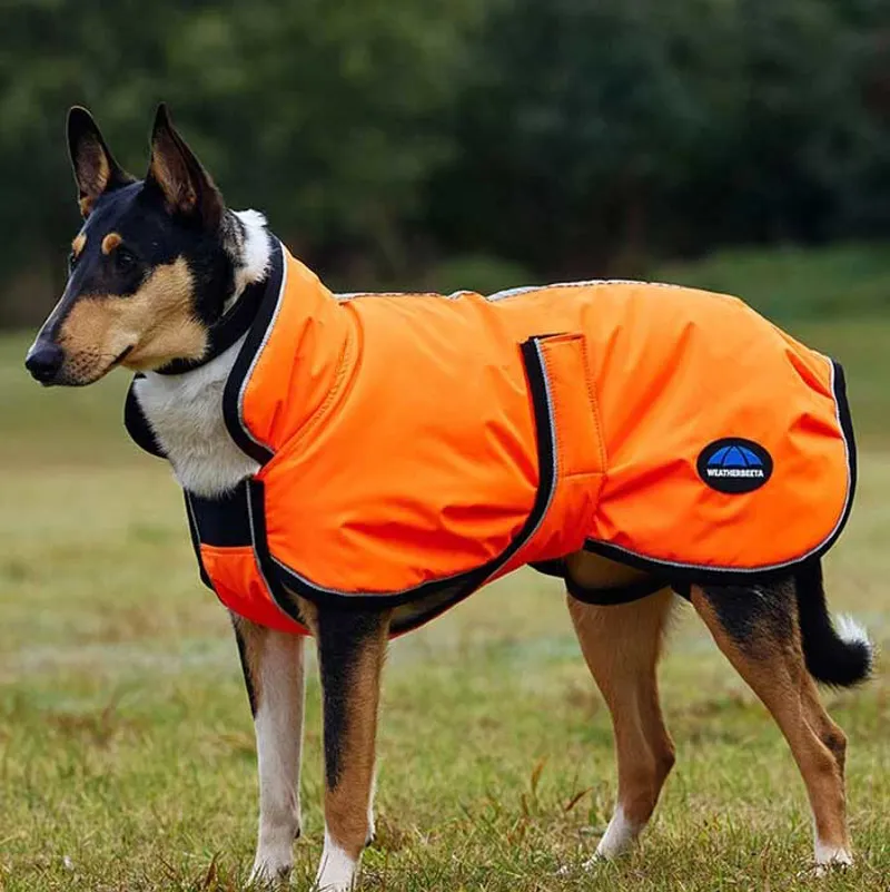 WeatherBeeta ComFiTec Reflective 300D Deluxe Dog Coat - Orange-1