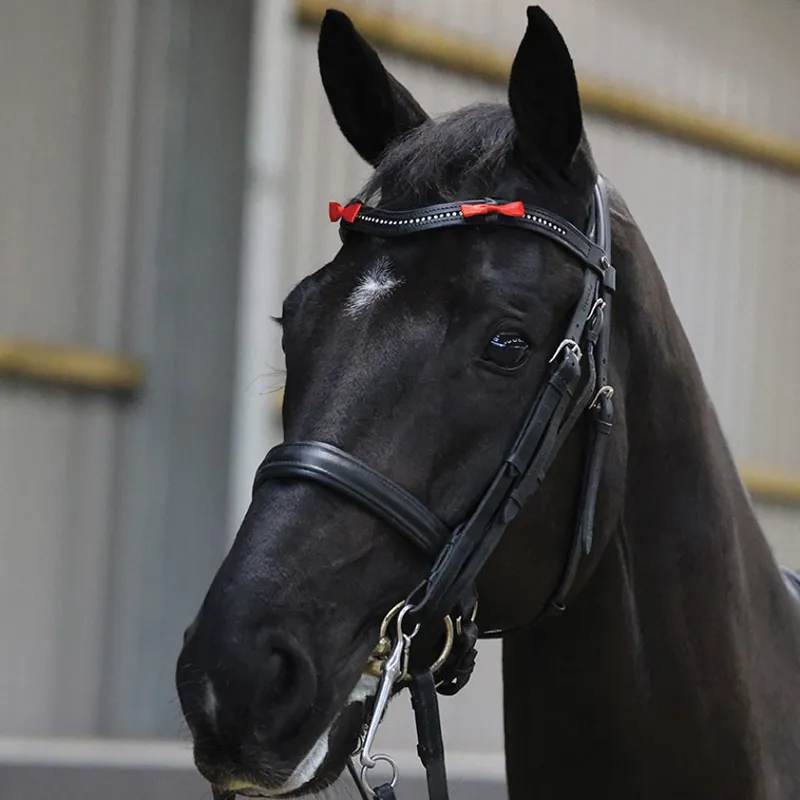 Equetech Horse Warning Competition Bridle Ribbon - Red-2