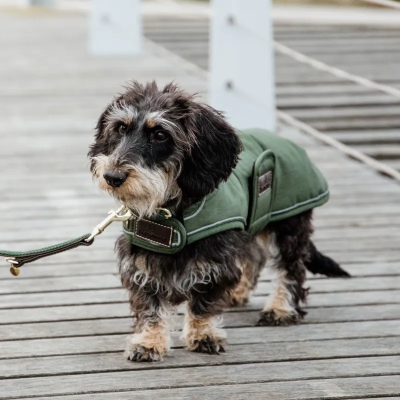 Kentucky Waterproof 300g Dog Coat - Olive-4