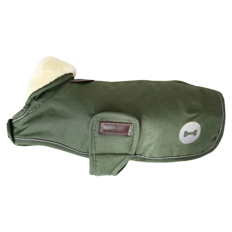Kentucky Waterproof 300g Dog Coat - Olive-7