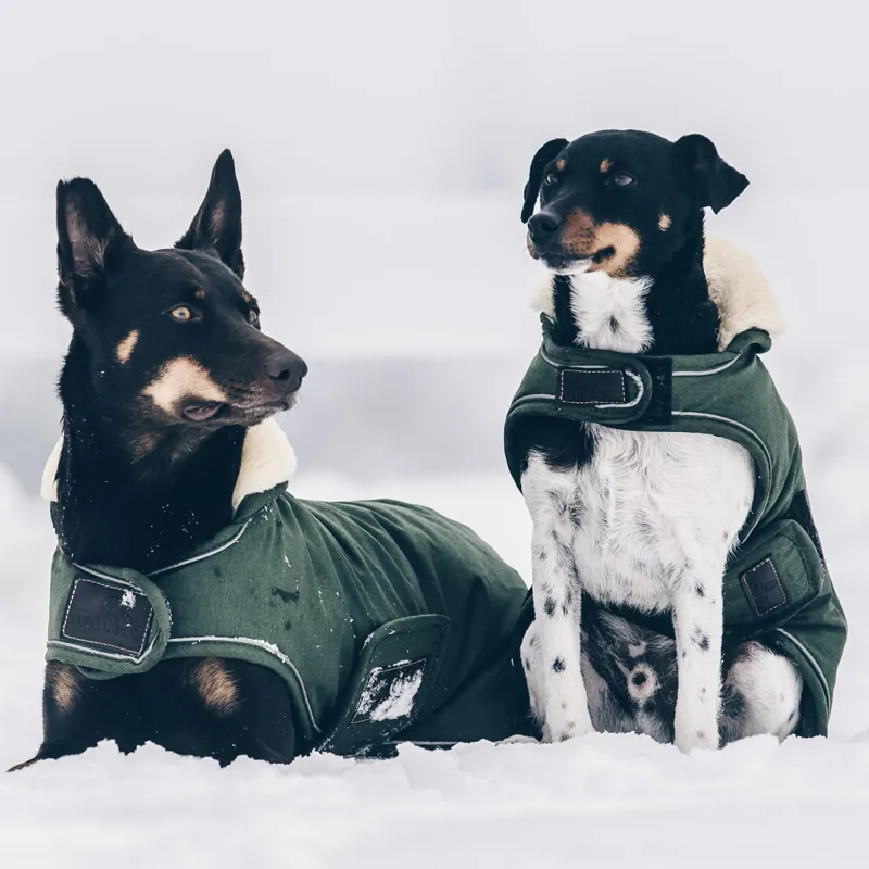 Kentucky Waterproof 300g Dog Coat - Olive-8