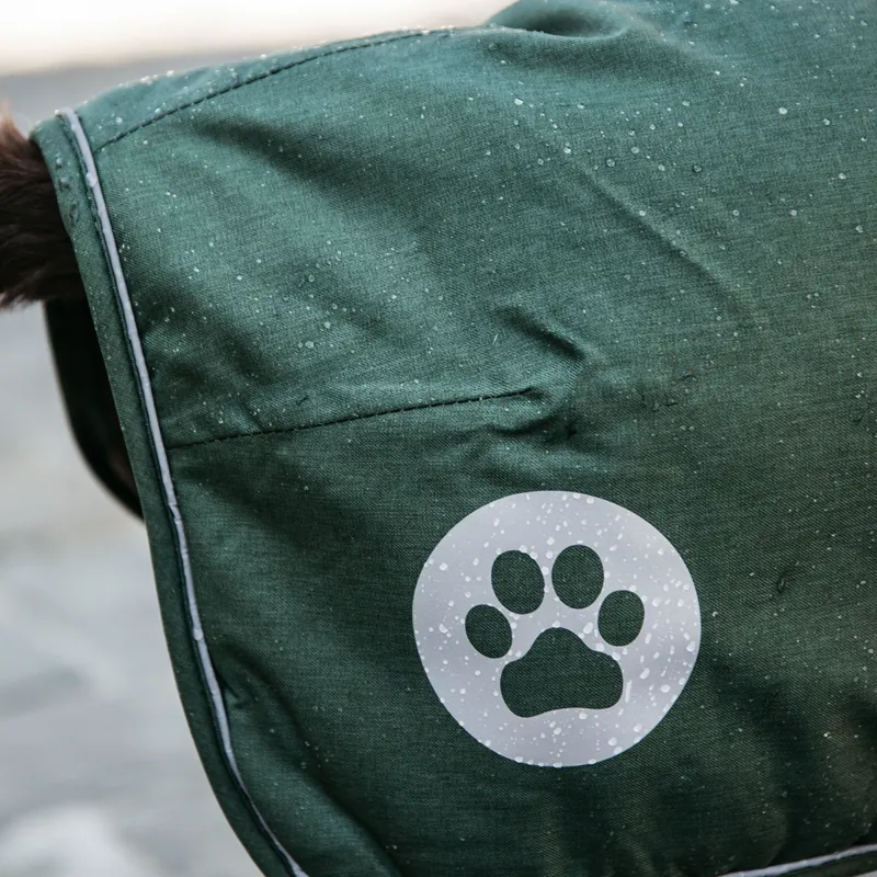 Kentucky Waterproof 300g Dog Coat - Olive-9