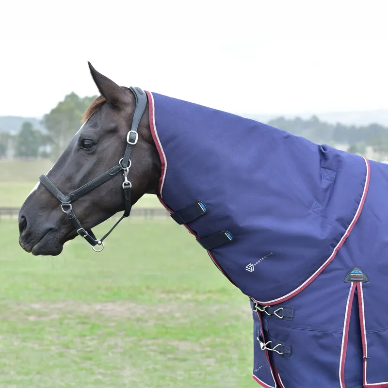 WeatherBeeta ComFiTec Essential 220g DetachANeck Turnout Rug - Navy-4