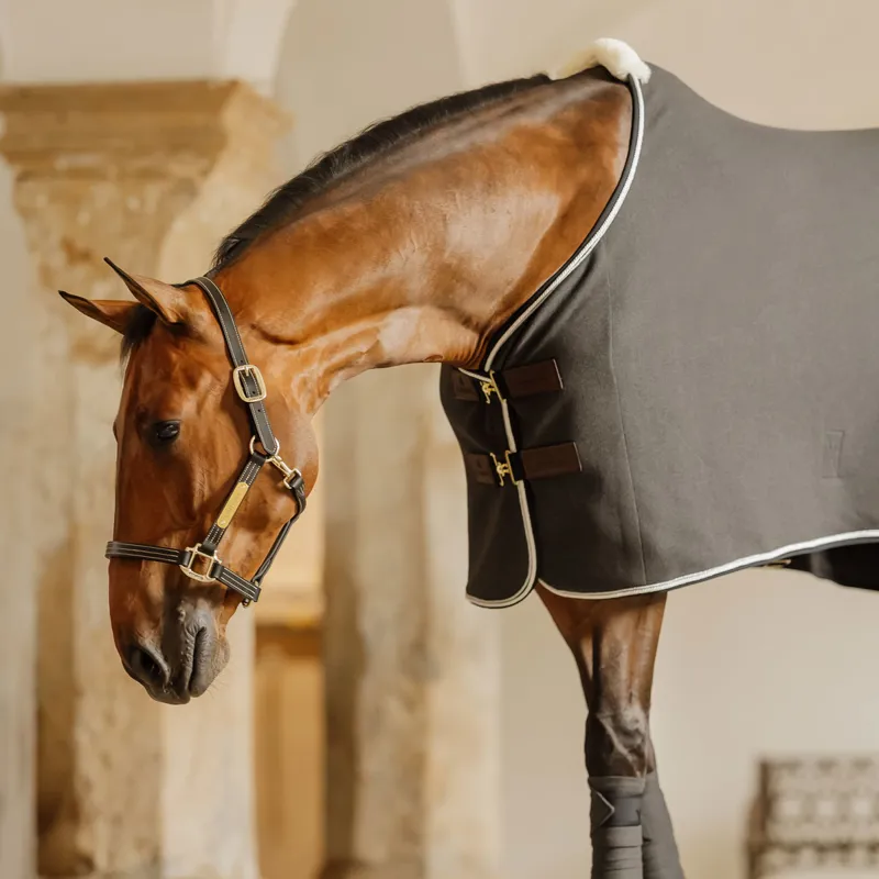 Kentucky Wellington Leather Headcollar - Black-2