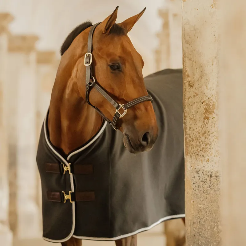 Kentucky Wellington Leather Headcollar - Black-6