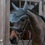 Kentucky Wellington Stone/Pearl Soundless Fly Veil - Grey