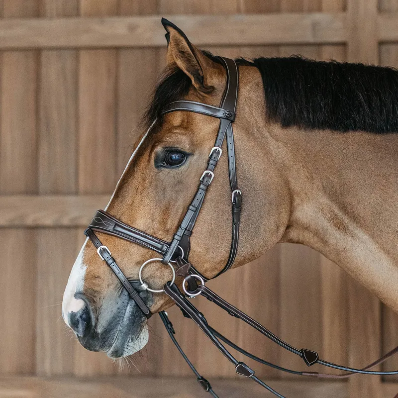 Dy'on Working Motion Bridle - Brown
