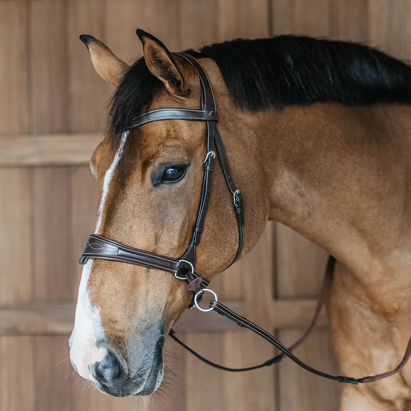 Dy'on Working Motion Bridle - Brown-1