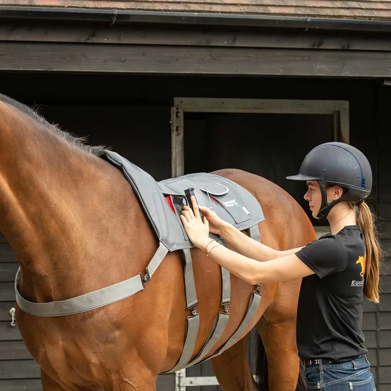 Horse discount massage pad