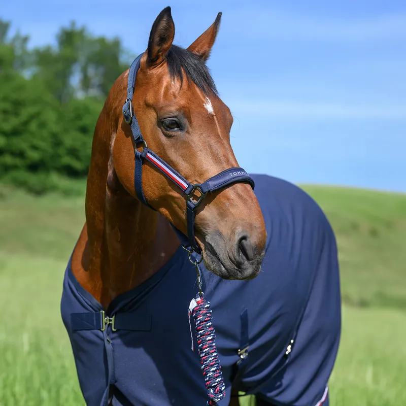 Tommy Hilfiger Yale Headcollar and Lead Rope Set - Desert Sky-1