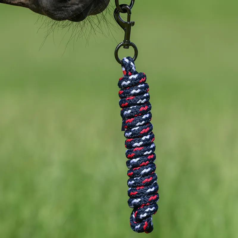 Tommy Hilfiger Yale Headcollar and Lead Rope Set - Desert Sky-2