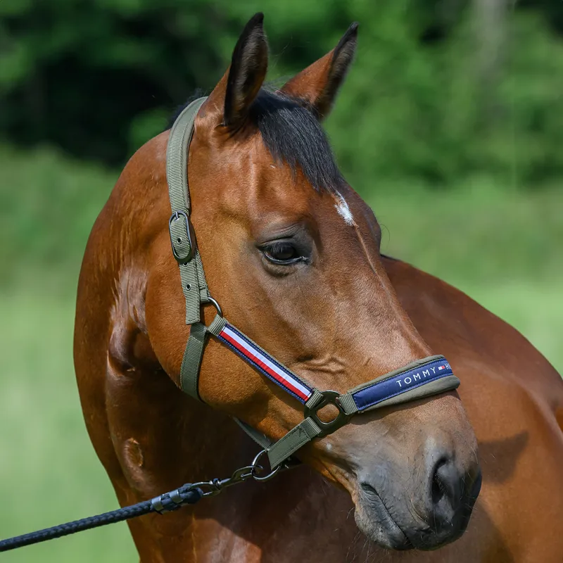 Tommy Hilfiger Yale Headcollar and Lead Rope Set - Utility Olive-1
