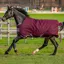 Amigo Hero 600D with Ripstop 50g Turnout Rug - Fig/Silver