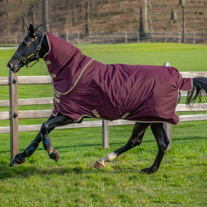 Amigo Hero 600D with Ripstop Plus 100g Turnout Rug - Fig/Navy/Tan