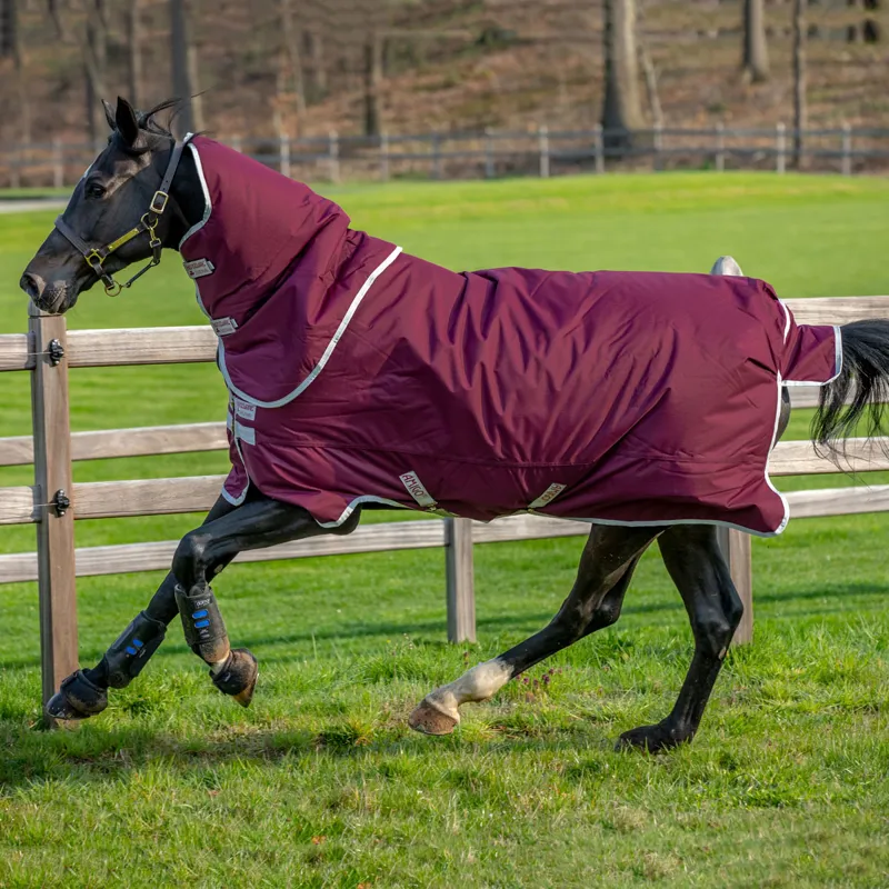 Amigo Hero 600D with Ripstop Plus 200g Turnout Rug - Fig/Silver