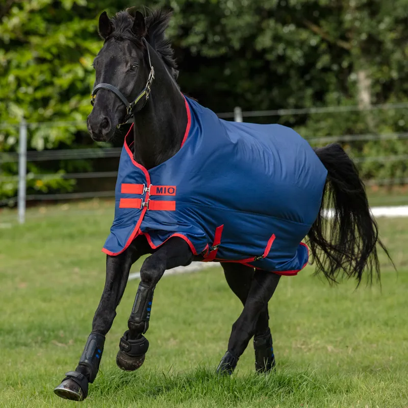 Mio Lightweight 0g Standard Neck Turnout Rug - Dark Blue/Red