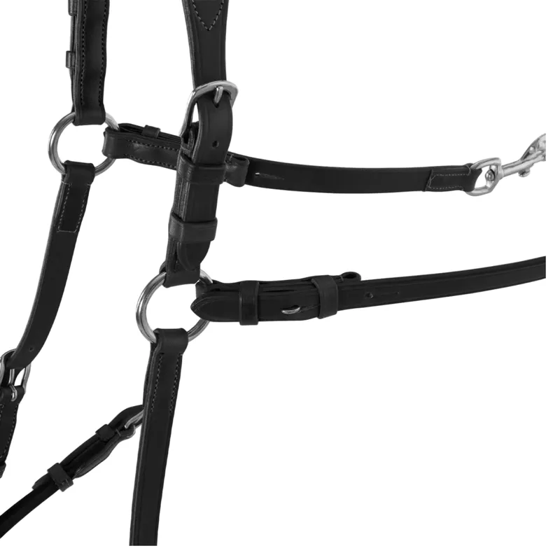 Acavallo Five-Point Calfskin Elastic Breastplate - Black-1
