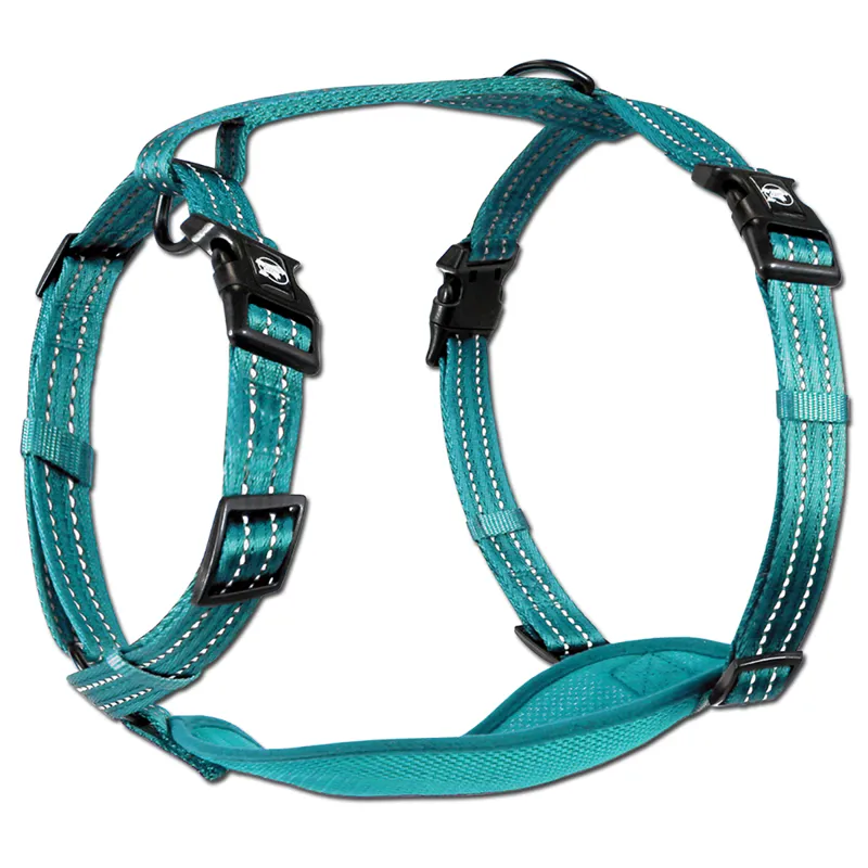 Alcott Adventure Dog Harness - Blue