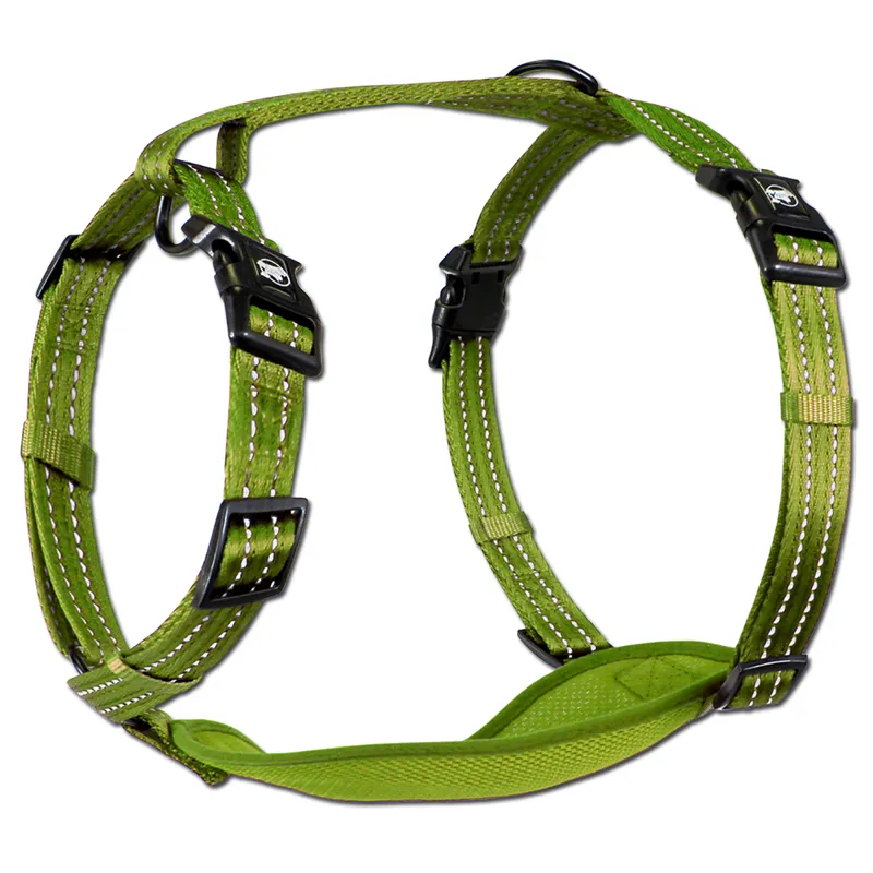 Alcott Adventure Dog Harness Green