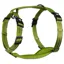 Alcott Adventure Dog Harness - Green