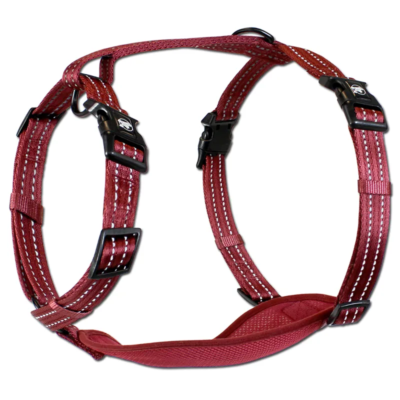 Alcott dog top collar