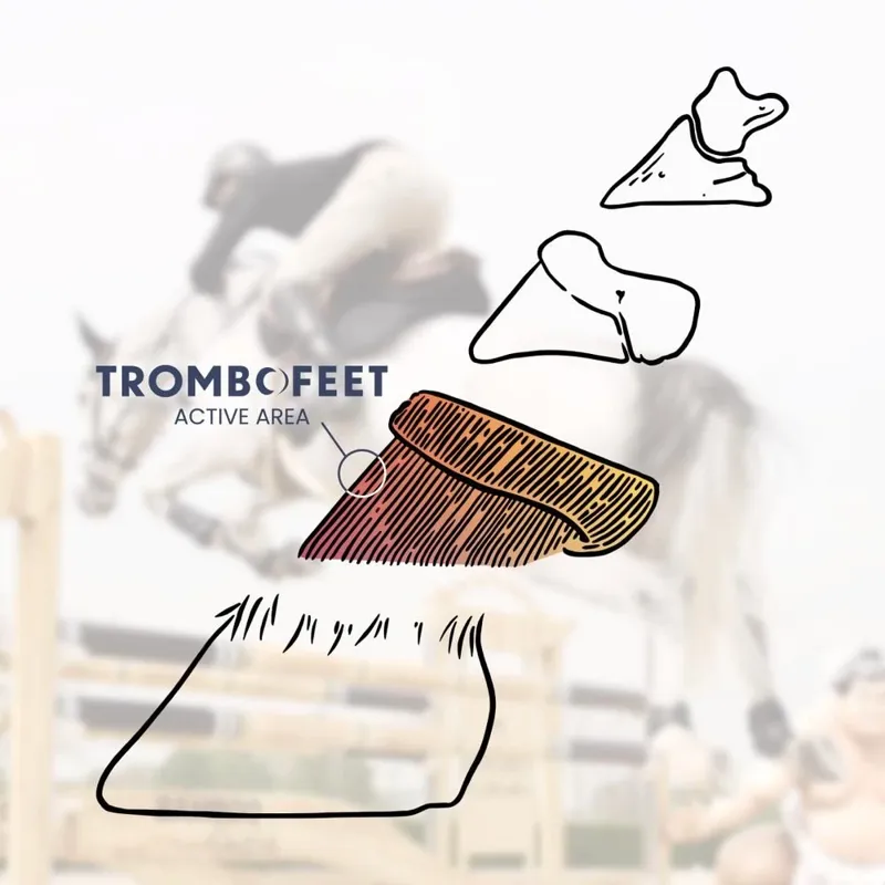 Alsvid Pharma Bv Trombofeet Hoof Care Oral Paste-6