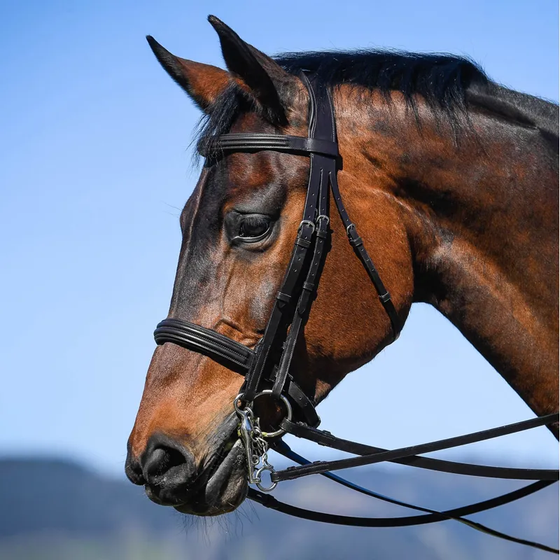 Amerigo Vespucci Classic Anatomic Double Bridle - Black