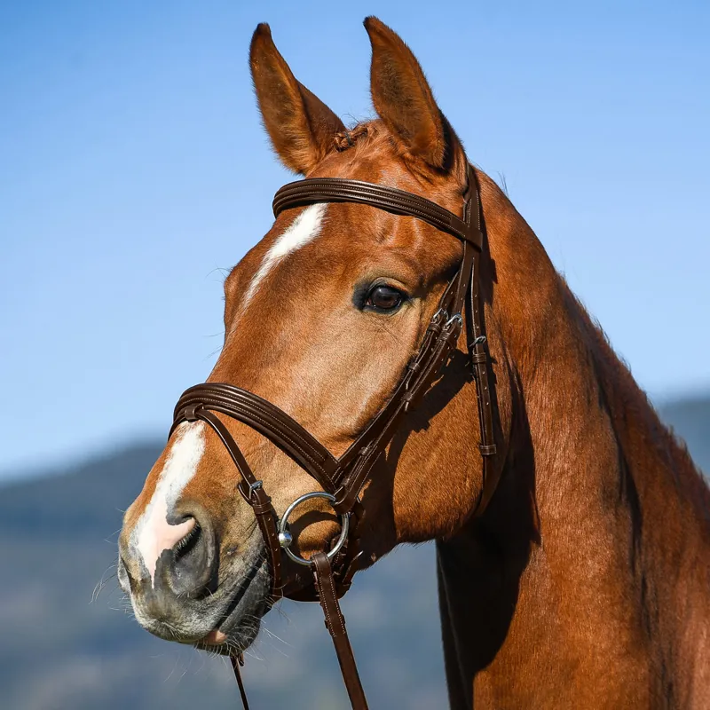 Amerigo Vespucci Dressage Anatomic Snaffle Flash Bridle - Brown