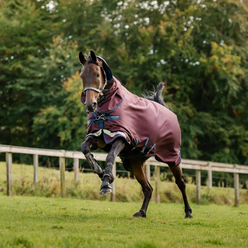 Amigo 1200D Plus 100g Detachable Neck Turnout Rug - Burgundy/Navy/Grey-5