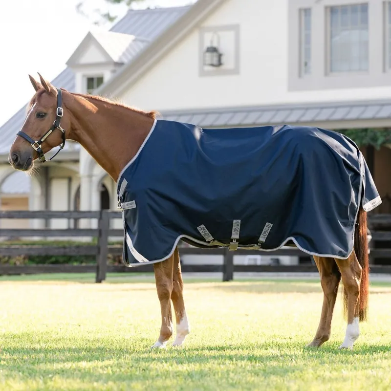 Amigo 1200D 0g Turnout Rug - Navy/Titanium Grey/Silver-1