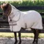Amigo Petite Bug Rug Plus Detach-A-Neck Fly Rug - Silver/Titanium Grey/Silver